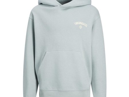 Jack & Jones Junior Gray Mist Jorsantorini Graphic Sweat Hoodie For Discount