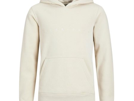 Jack & Jones Junior Moonbeam Copenhagen Hoodie Noos Online now