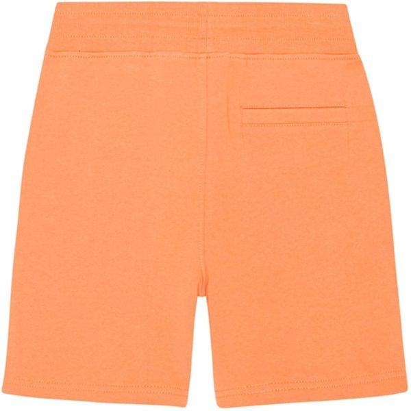 Molo Ember Alw Shorts Hot on Sale